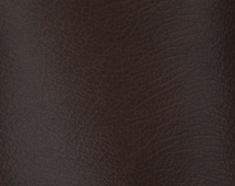 Couverture isothermique modèle elation chestnut